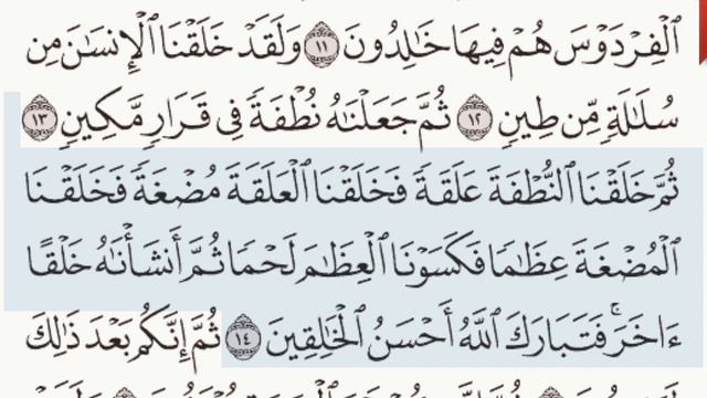 القرآن الكريم سورة المؤمنون من الآية 12 وحتى الآية 14 смотреть онлайн
