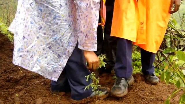 Tree Plantation 2018| Sir Homi Bhabha Scout Troop Pune смотреть онлайн