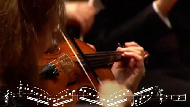 [Hilary Hahn][Sheet] Brahms Violin Concerto In D Major, Op. 77 I. Allegro Non Troppo