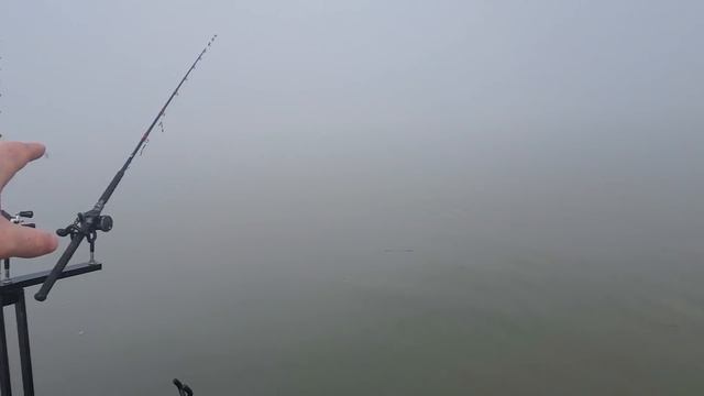 Catfish Fishing Road Trip | Ginger Fish King Goes To Old Hickory Lake смотреть онлайн