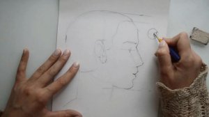 Как нарисовать портрет. Пошаговый урок (пропорции головы). Вторая часть. Профиль Portrait. Profile