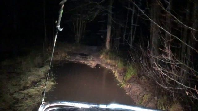 Уаз на колесах 44 дюйма на ночном болоте, глухари, бензопила против бурелома .