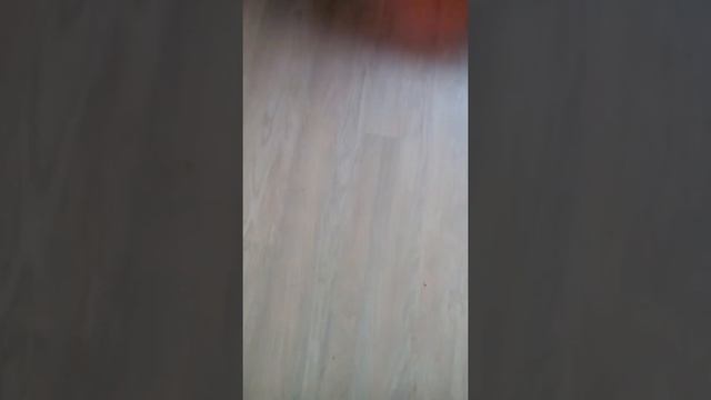 Мне сегодня купили ГЕРОСКУТЕР !!!)))