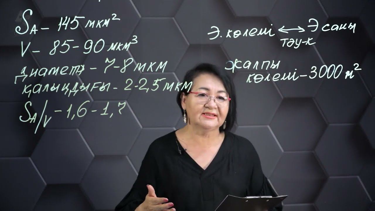 Эритроцит жасушасының беттік ауданының көлемге қатынасы. 10 сынып. смотреть онлайн