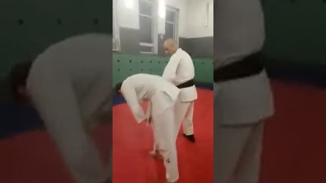 дзю-дзюцу (джиу-джицу) ХИДЖИ ОТОШИ