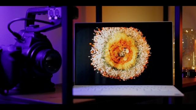 Dell XPS 13 Review - Intel® Core™ i7 11 Gen with Intel Evo and Xe Graphics - Blazing Fast! смотреть онлайн