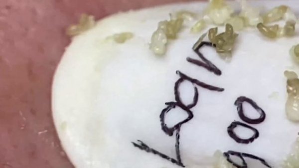 Enjoy Every Day With The Best Video Loan Nguyen Spa Official 2650