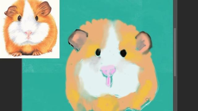 Как нарисовать морскую свинку смотреть онлайн