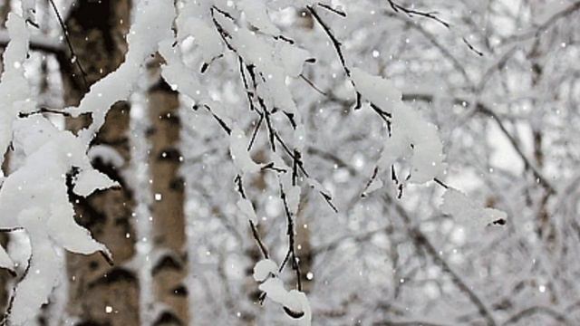 МИХАИЛ КАРМАШ - ПАДАЕТ СНЕГ! смотреть онлайн