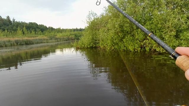 3.Сплав по реке на юге Ленинградской области и рыбалка на спиннинг с другом смотреть онлайн