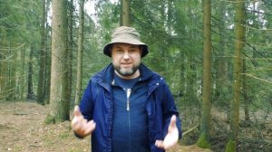 ?ЗА КОСМИЧЕСКИМИ ГРИБАМИ ? | Саркосома шаровидная как и где растет.