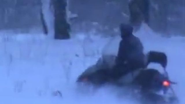 Тайга БАРС.avi смотреть онлайн