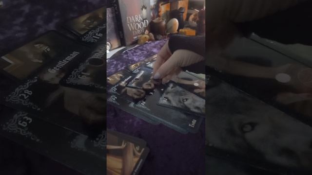 Бывшие.Как стали поживать? Была ли магия причиной расставания?#гаданиеонлайн #таро #руны смотреть онлайн
