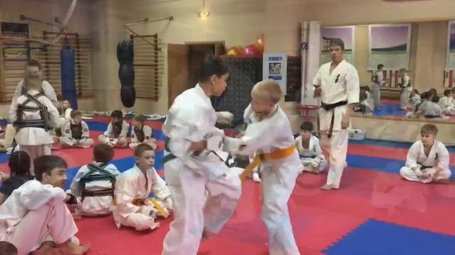 Сборы Сэнсэя Александра Бревнова в Минусинске смотреть онлайн