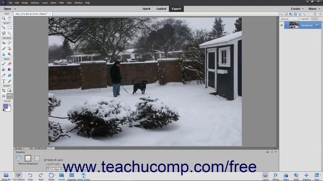 Learn How to Use the Straighten Tool in Adobe Photoshop Elements 2022: A Training Tutorial смотреть онлайн
