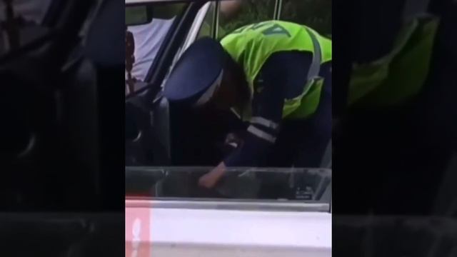 Досмотр или осмотр : в чём разница по КоАП РФ