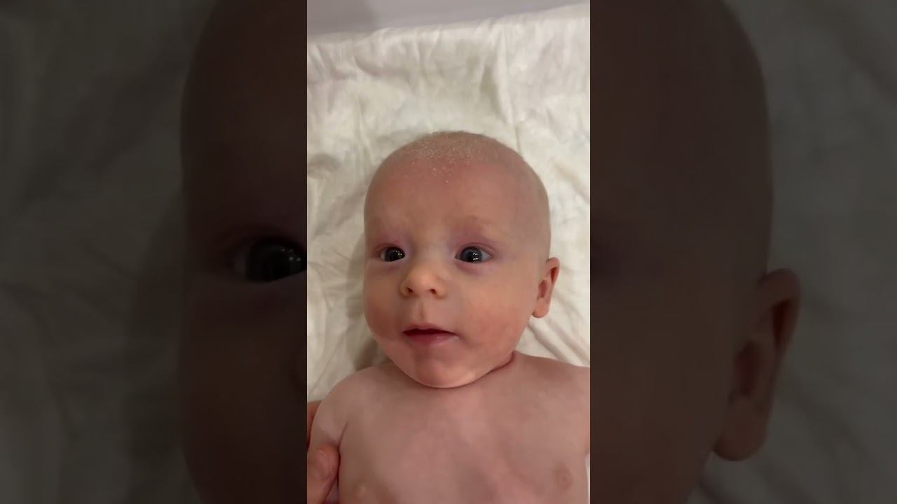 ПАПЕ УЛЫБАЕТСЯ А ФОТОГРАФУ НЕТ ♂️ смотреть онлайн