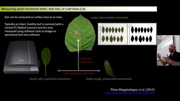 Universal Adaptive Strategy Theory (UAST) and Grime's CSR plant strategy triangle