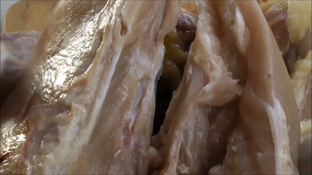 Что у бройлера внутри. смотреть онлайн