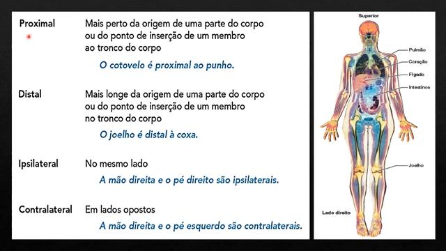 Conceitos Básicos - Aula 1 смотреть онлайн