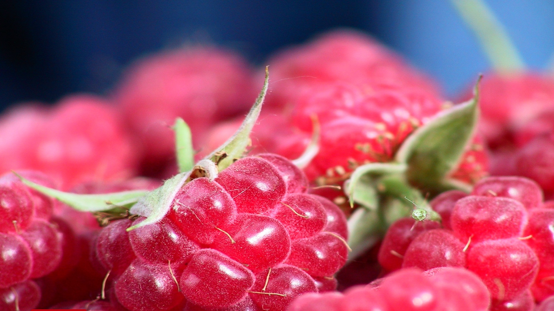 5-А.Вивальди.Июль..mp4 смотреть онлайн