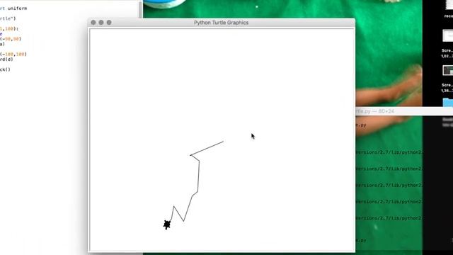 Random Turtle Movement (Python Module) смотреть онлайн