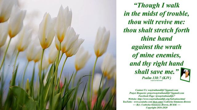 Though I Walk Psalm 138:7 Rev Cedricka Simmons Brown смотреть онлайн