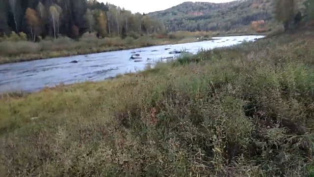 Река Песчаная. Алтайский край. Поход смотреть онлайн