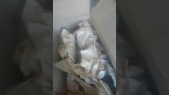 сады Москвы посылка- актинидия - иссаи,рогов май22 смотреть онлайн