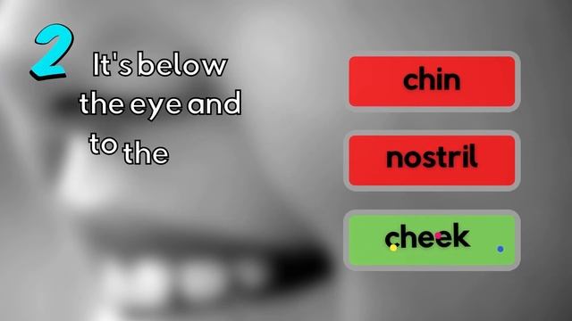 ESL Body Parts Game | Fun Point System | Around the Face смотреть онлайн