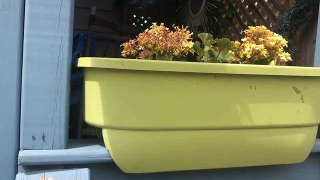 Tropical Garden Ideas,upadated смотреть онлайн