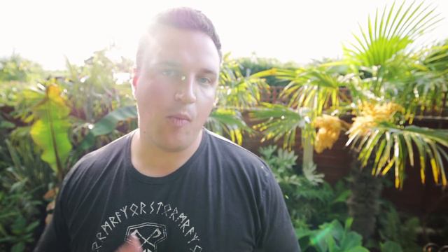 New Plants including a Fast Growing Exotic Evergeen Eucalyptus Neglecta Tree! смотреть онлайн