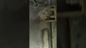 Номер кузова МАЗ 4370