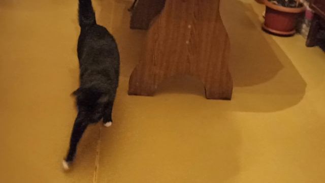 Ночное время