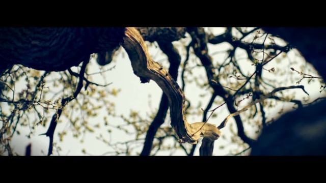 Canon 600D+Jupiter-9 85mm f/2 test смотреть онлайн