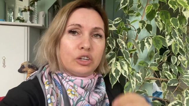 Вердикт врача | работать нельзя| маковый чизкейк смотреть онлайн