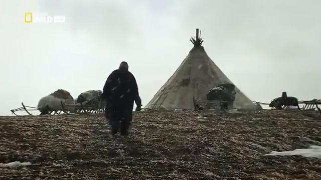 Мамонт Возвращение Животные Ледникового периода смотреть онлайн