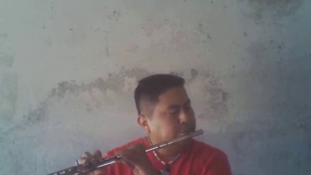 Yiruma - River Flows in You (flute cover) смотреть онлайн