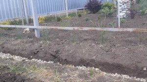 317. Ставим бордюры на улице ? перед забором.