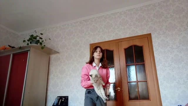 вб накормил?️ смотреть онлайн