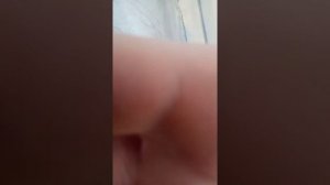 Дрочу КОШКЕ зажигалкой. Джесса поехала в Анапу на низком старте.