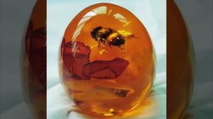 И. Хмелевская  Золотая муха Иронический детектив