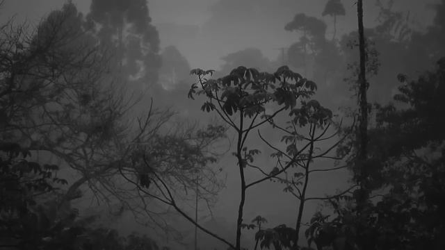 мелкого дождь для сна медитации слушать онлайн бесплатно в хорошем качестве. релакс с грозой смотреть онлайн