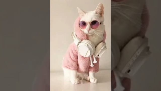 какое фото мне поставить на аву смотреть онлайн