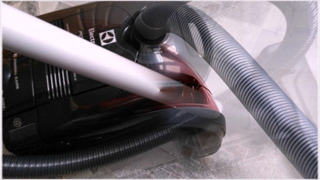 Как выбрать пылесос для уборки шерсти домашних животных советы экспертов и лучшие модели смотреть онлайн