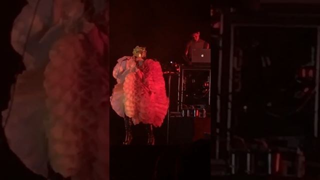 Bjork Unravel FYF Fest 2017 смотреть онлайн