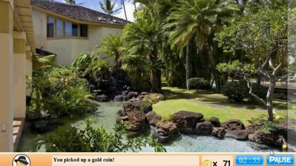 Escape Tropical Island walkthrough