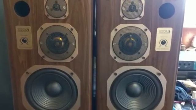 Акустическая система Coral DX-3 смотреть онлайн
