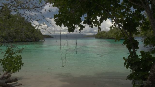 hlam3 - 4K HDR Calm Waves - 10 Hours - Relaxing Ocean Wave Sounds - Tropical Beach Nature Video for смотреть онлайн