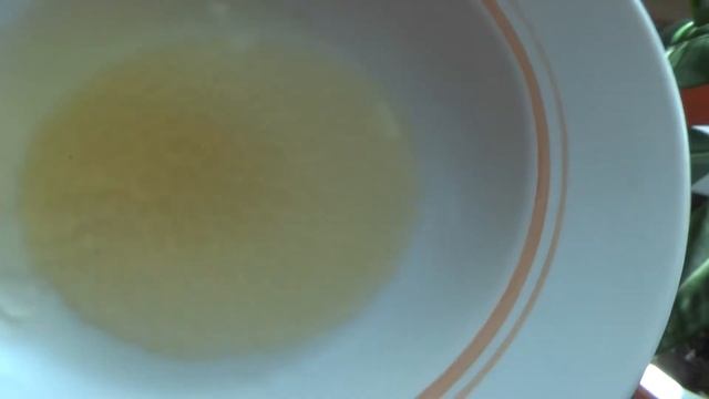 Генетическая память меда Проверка водой настоящий мед или подделка в гостях в Башкирии смотреть онлайн